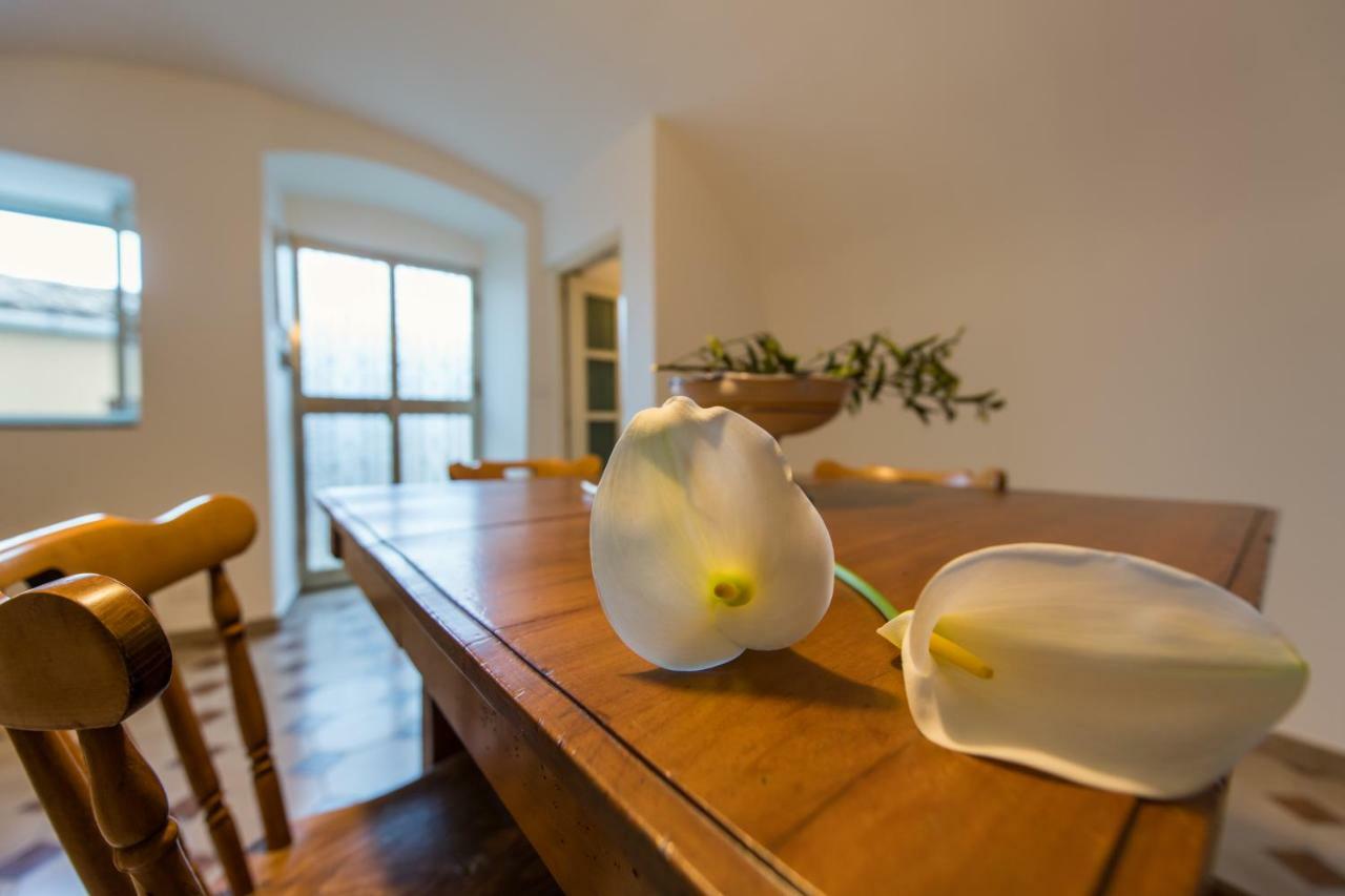 Mimma Holiday House موديكا المظهر الخارجي الصورة